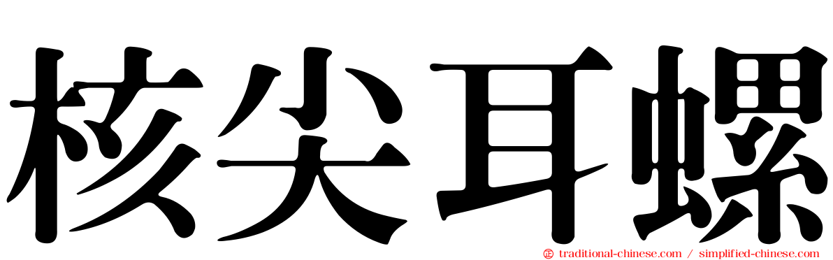 核尖耳螺