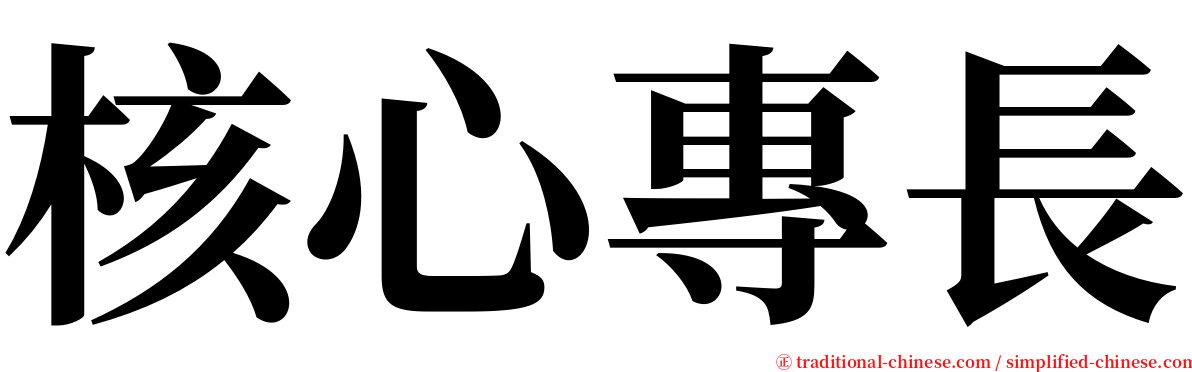 核心專長 serif font