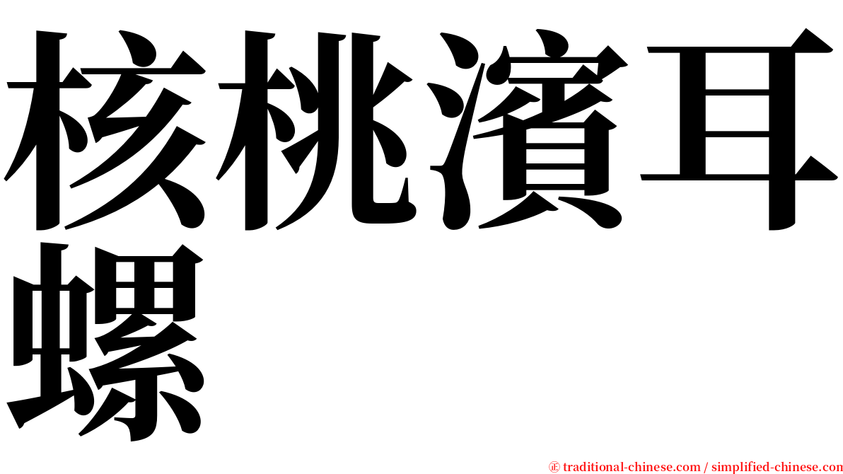 核桃濱耳螺 serif font