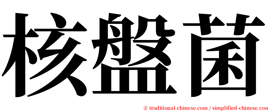 核盤菌 serif font