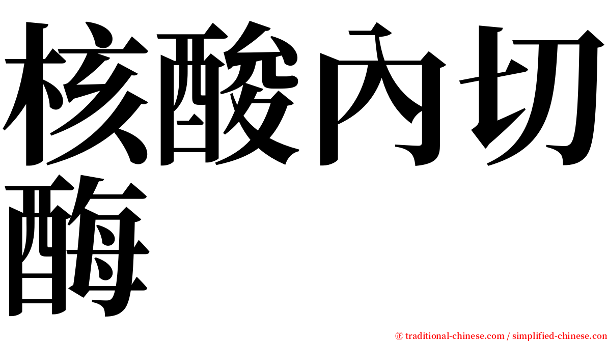 核酸內切酶 serif font