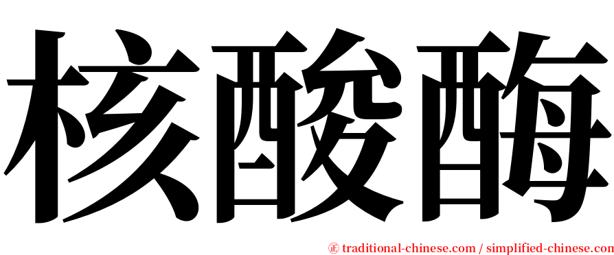 核酸酶 serif font