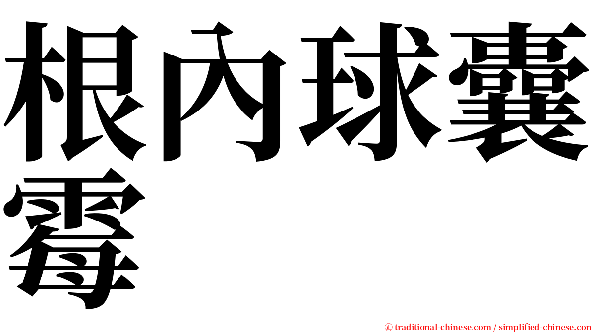 根內球囊霉 serif font