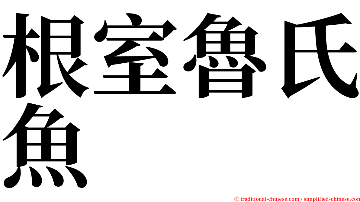 根室魯氏魚 serif font