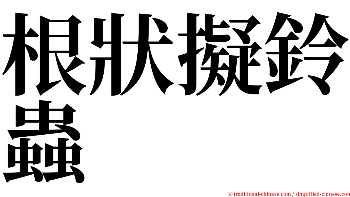 根狀擬鈴蟲 serif font