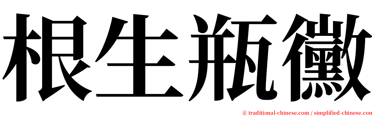 根生瓶黴 serif font