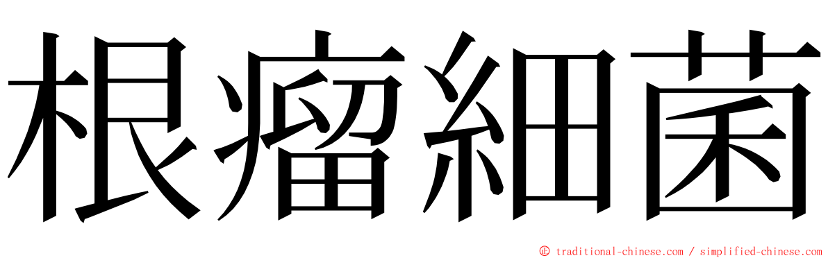 根瘤細菌 ming font