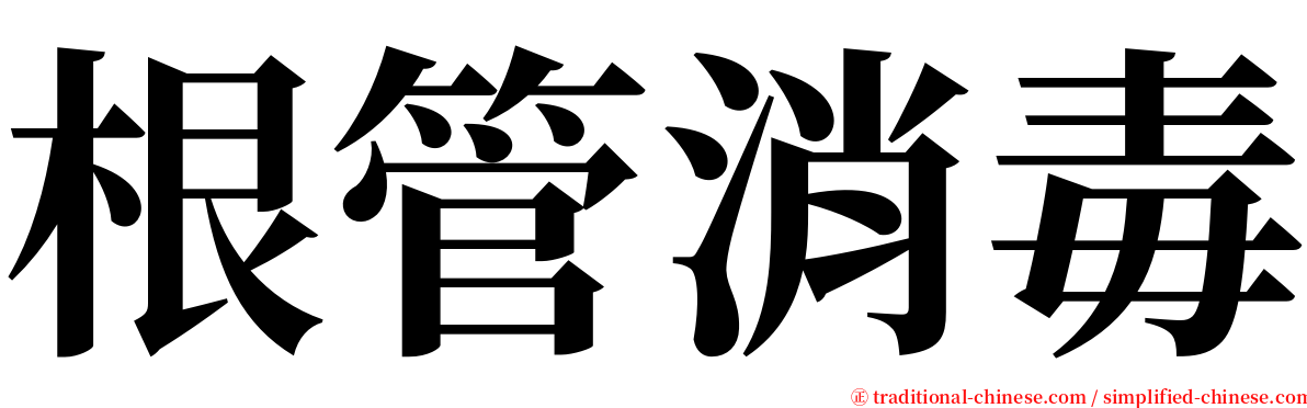 根管消毒 serif font