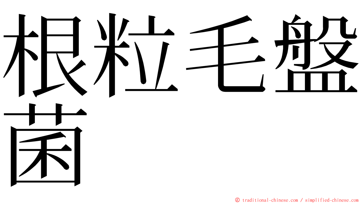 根粒毛盤菌 ming font