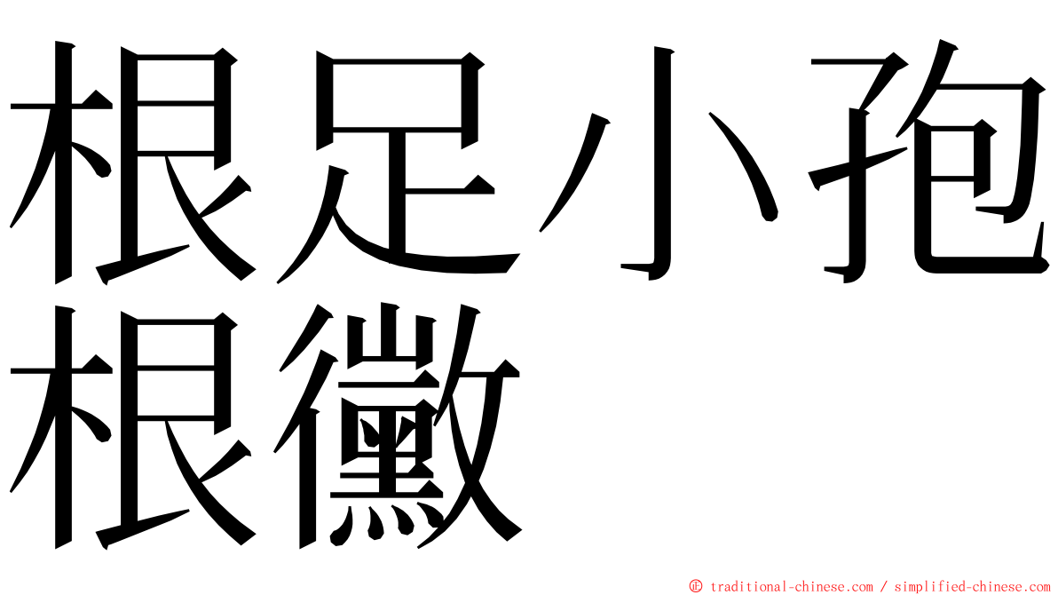 根足小孢根黴 ming font