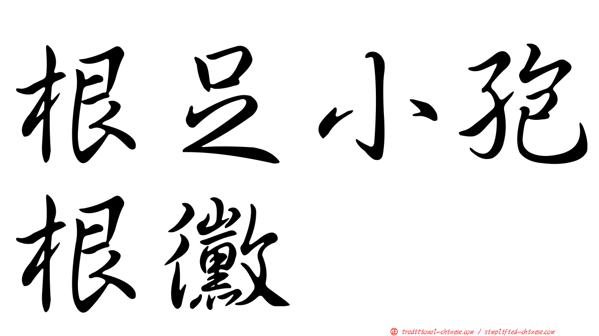 根足小孢根黴