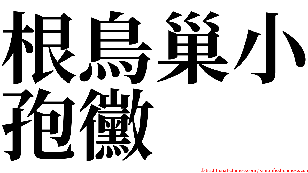 根鳥巢小孢黴 serif font