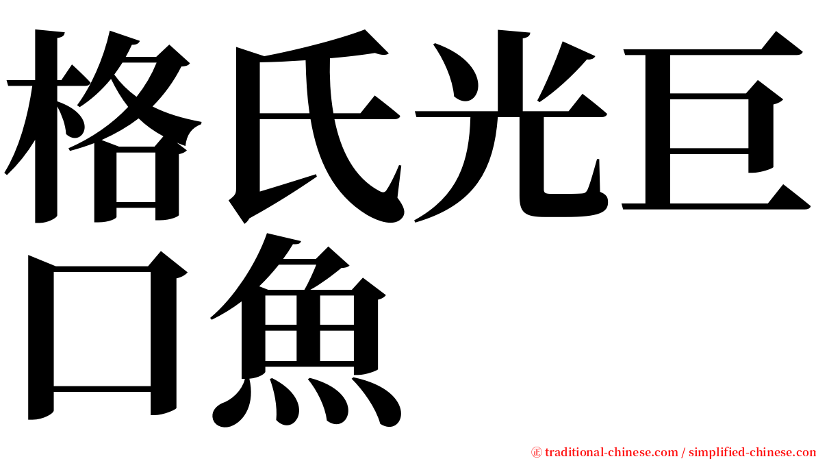 格氏光巨口魚 serif font