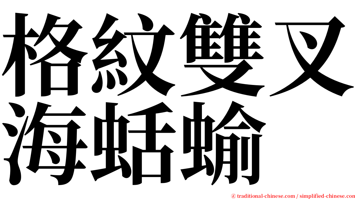 格紋雙叉海蛞蝓 serif font