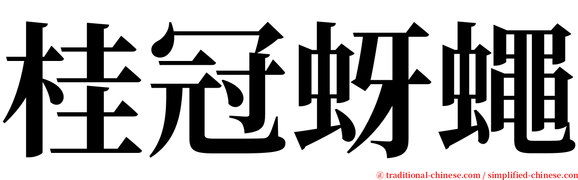 桂冠蚜蠅 serif font