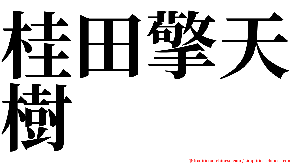 桂田擎天樹 serif font