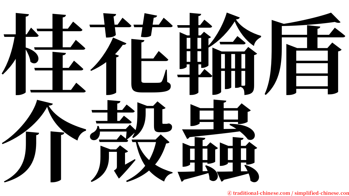 桂花輪盾介殼蟲 serif font