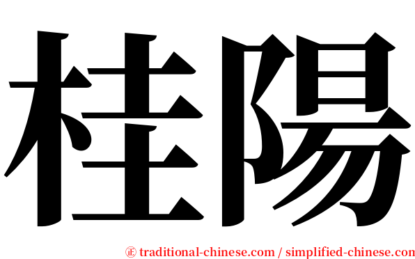 桂陽 serif font