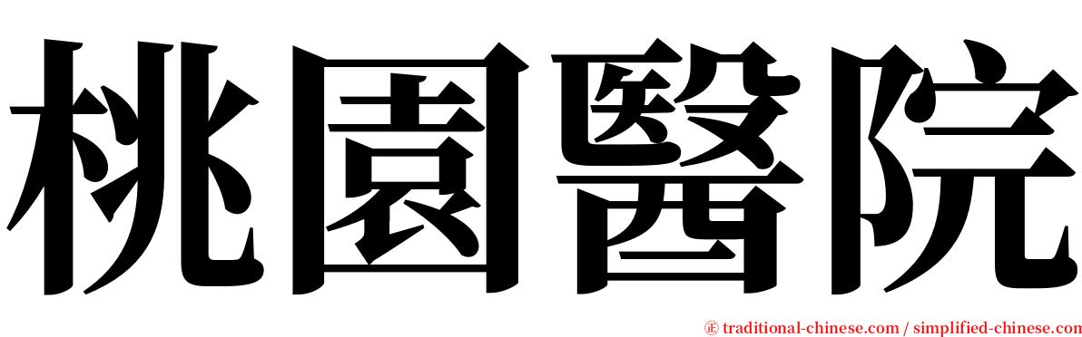 桃園醫院 serif font