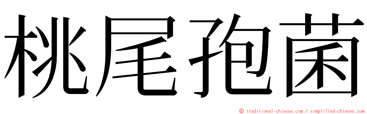 桃尾孢菌 ming font