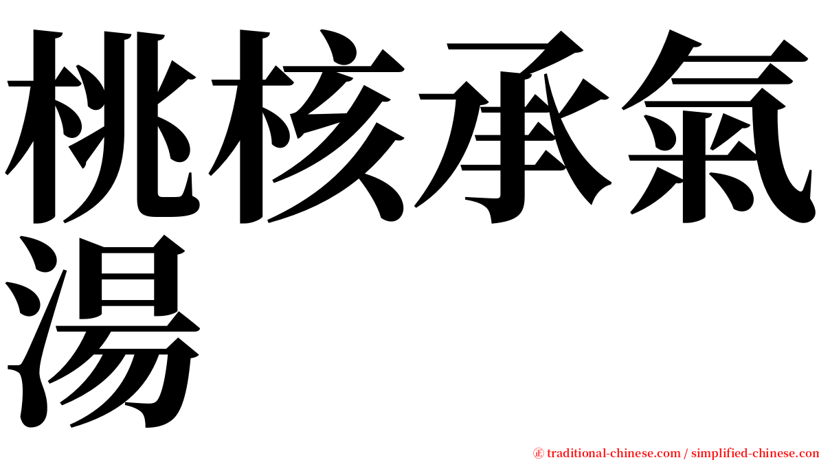 桃核承氣湯 serif font