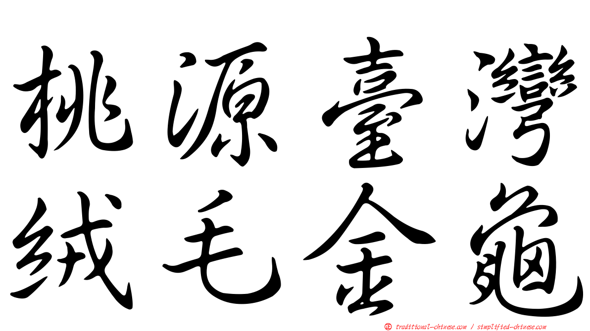 桃源臺灣絨毛金龜