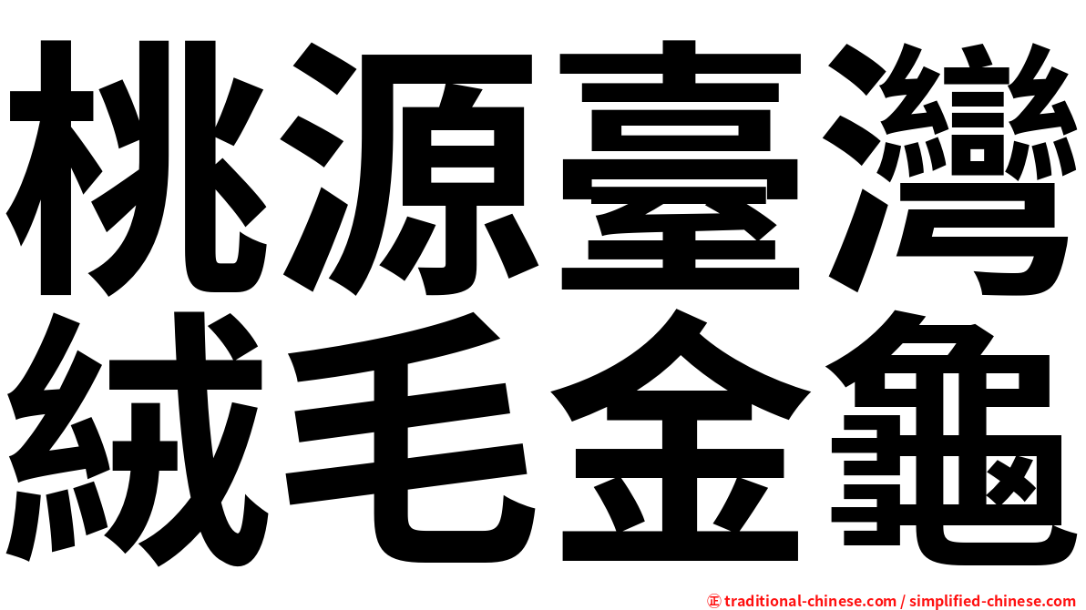 桃源臺灣絨毛金龜