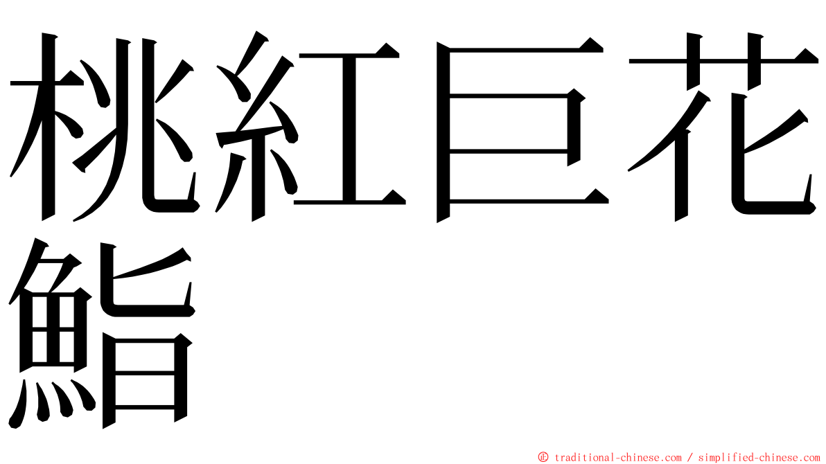 桃紅巨花鮨 ming font