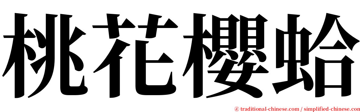 桃花櫻蛤 serif font