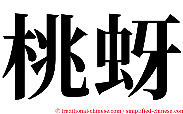 桃蚜 serif font