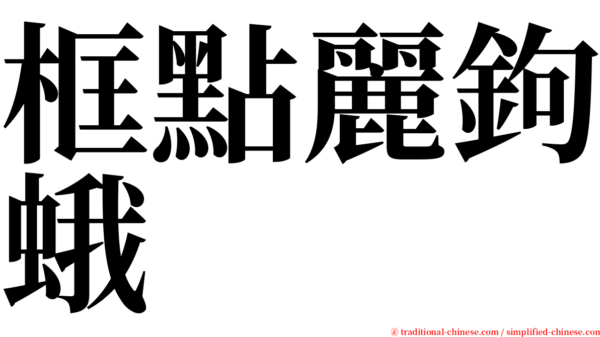 框點麗鉤蛾 serif font