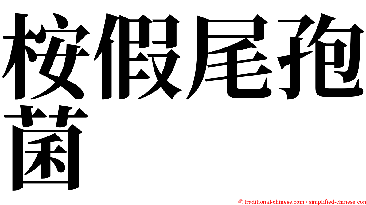 桉假尾孢菌 serif font