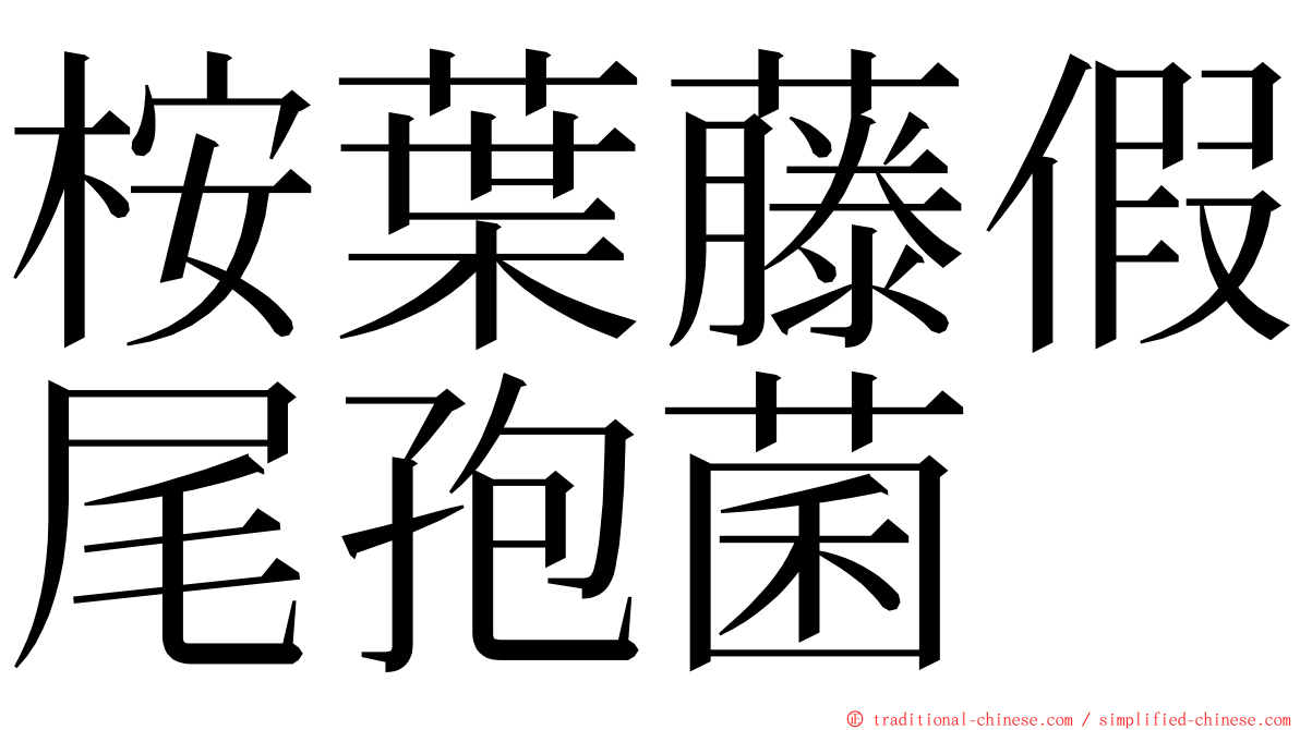 桉葉藤假尾孢菌 ming font