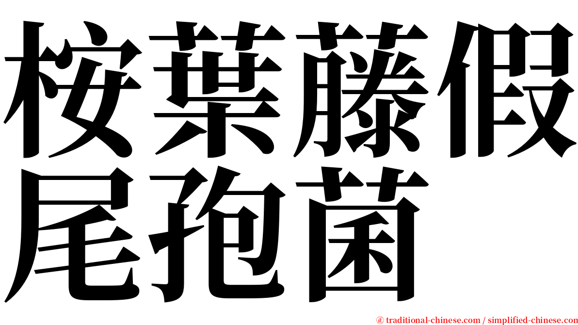 桉葉藤假尾孢菌 serif font