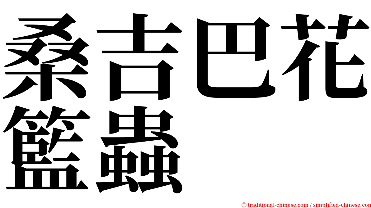 桑吉巴花籃蟲 serif font