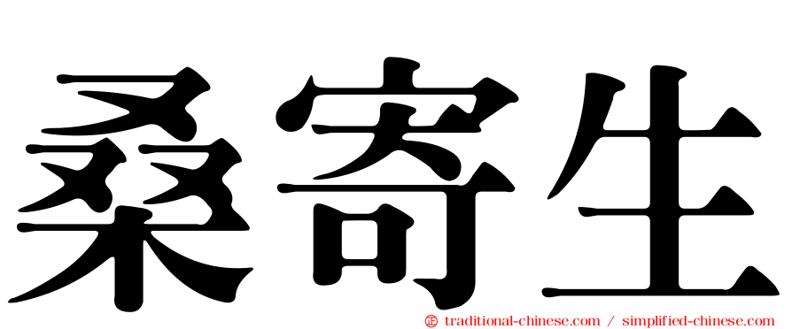 桑寄生
