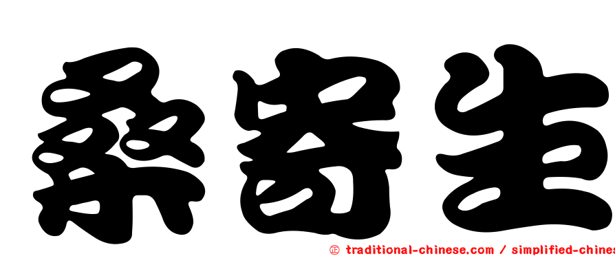 桑寄生