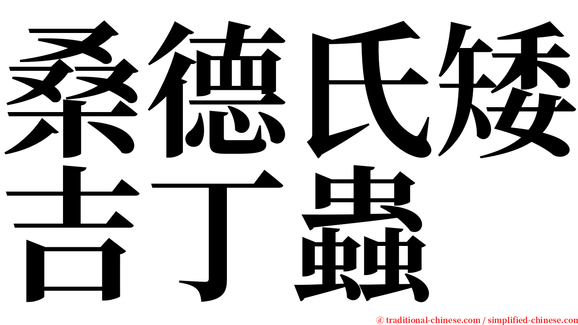 桑德氏矮吉丁蟲 serif font