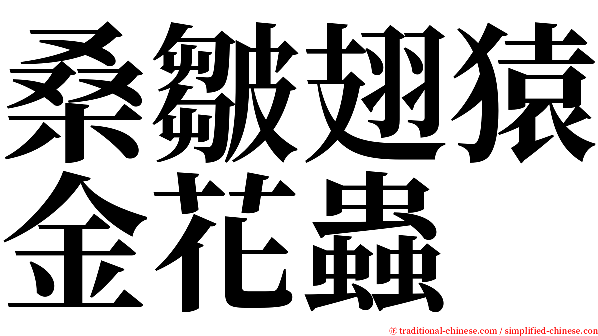 桑皺翅猿金花蟲 serif font