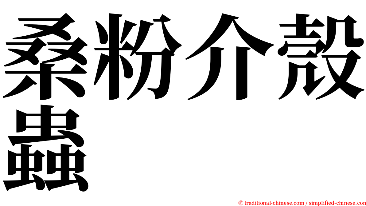 桑粉介殼蟲 serif font