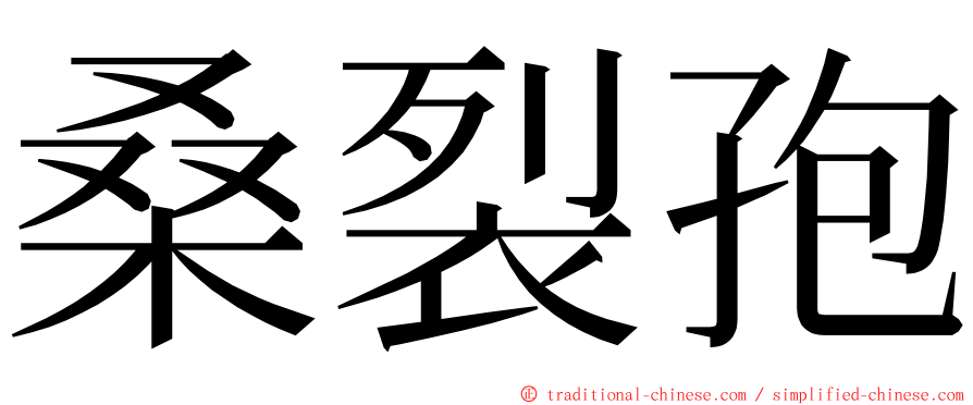 桑裂孢 ming font