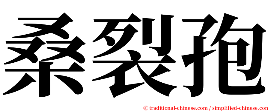 桑裂孢 serif font