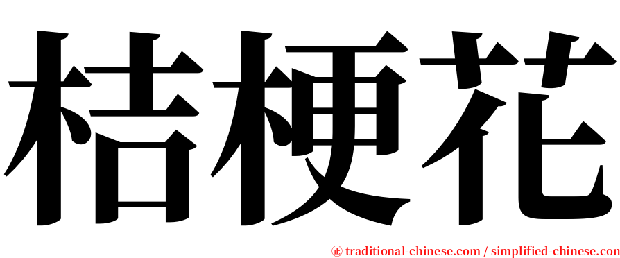 桔梗花 serif font