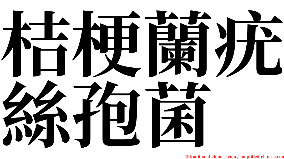 桔梗蘭疣絲孢菌 serif font