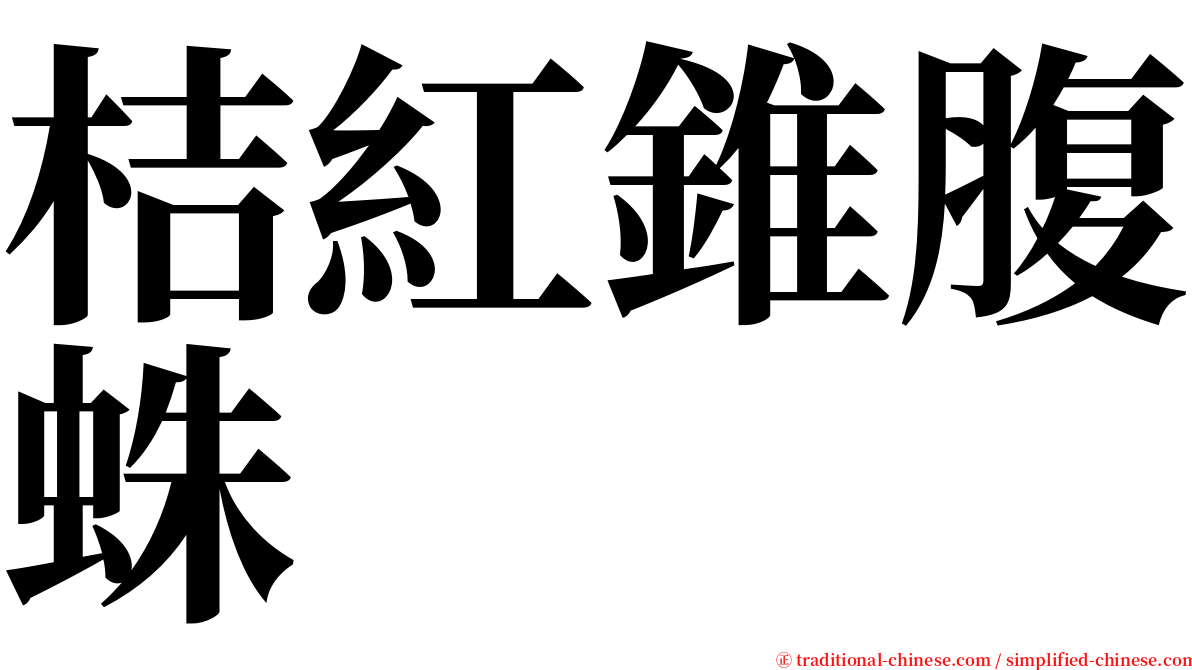 桔紅錐腹蛛 serif font