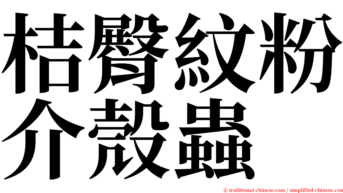 桔臀紋粉介殼蟲 serif font