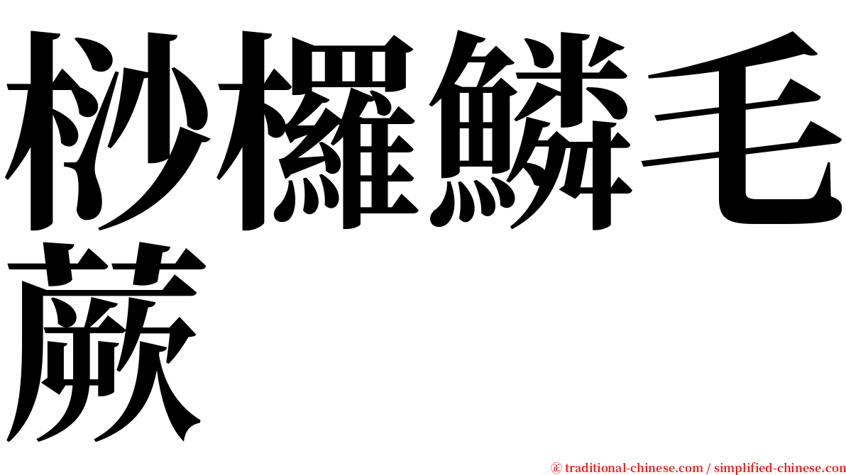 桫欏鱗毛蕨 serif font