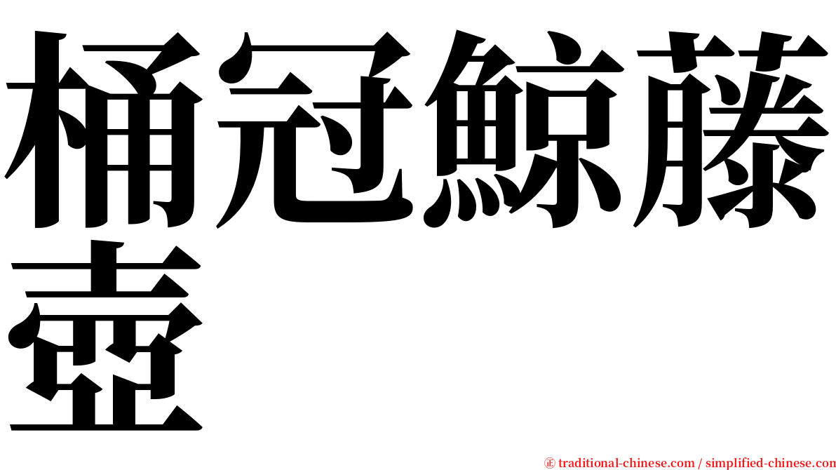 桶冠鯨藤壺 serif font