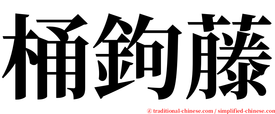 桶鉤藤 serif font