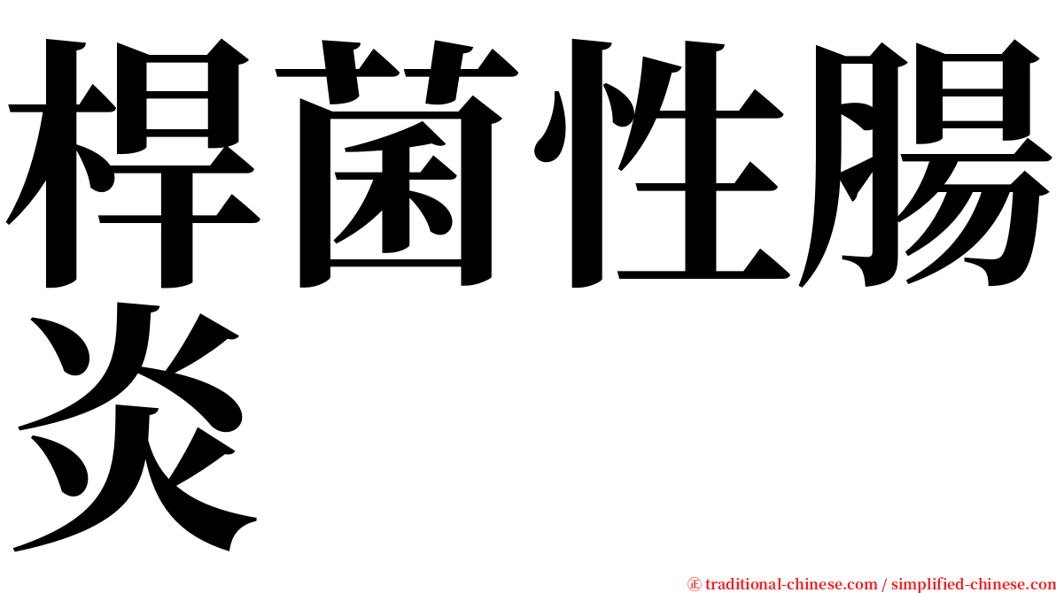 桿菌性腸炎 serif font